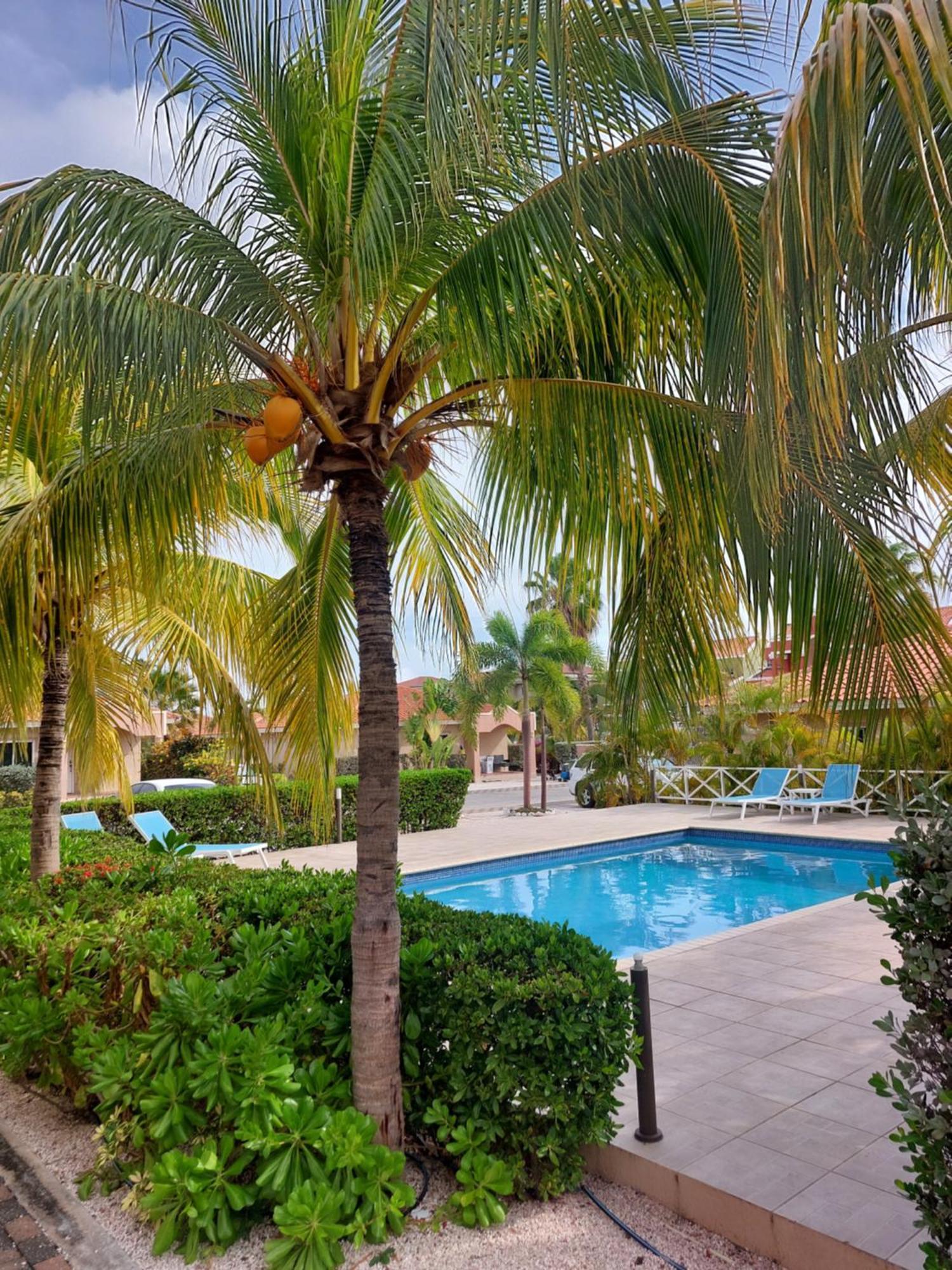 Caribbean Beach Resort Blenchi Curacao Willemstad Eksteriør bilde