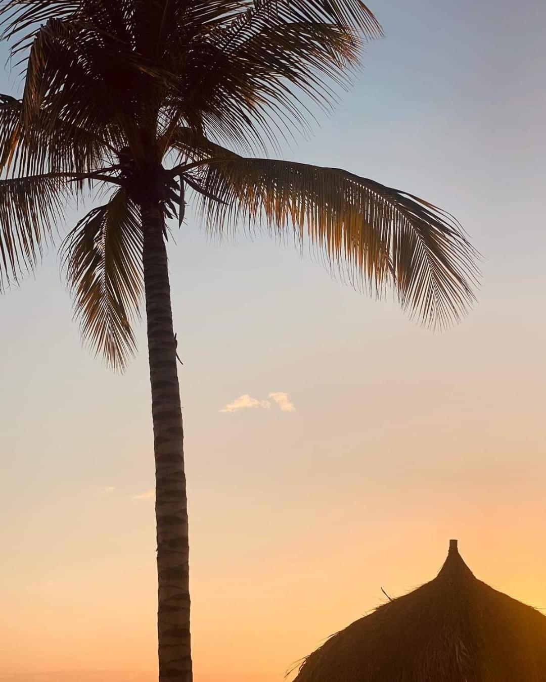 Caribbean Beach Resort Blenchi Curacao Willemstad Eksteriør bilde