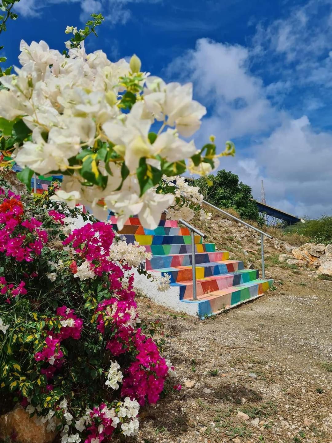 Caribbean Beach Resort Blenchi Curacao Willemstad Eksteriør bilde